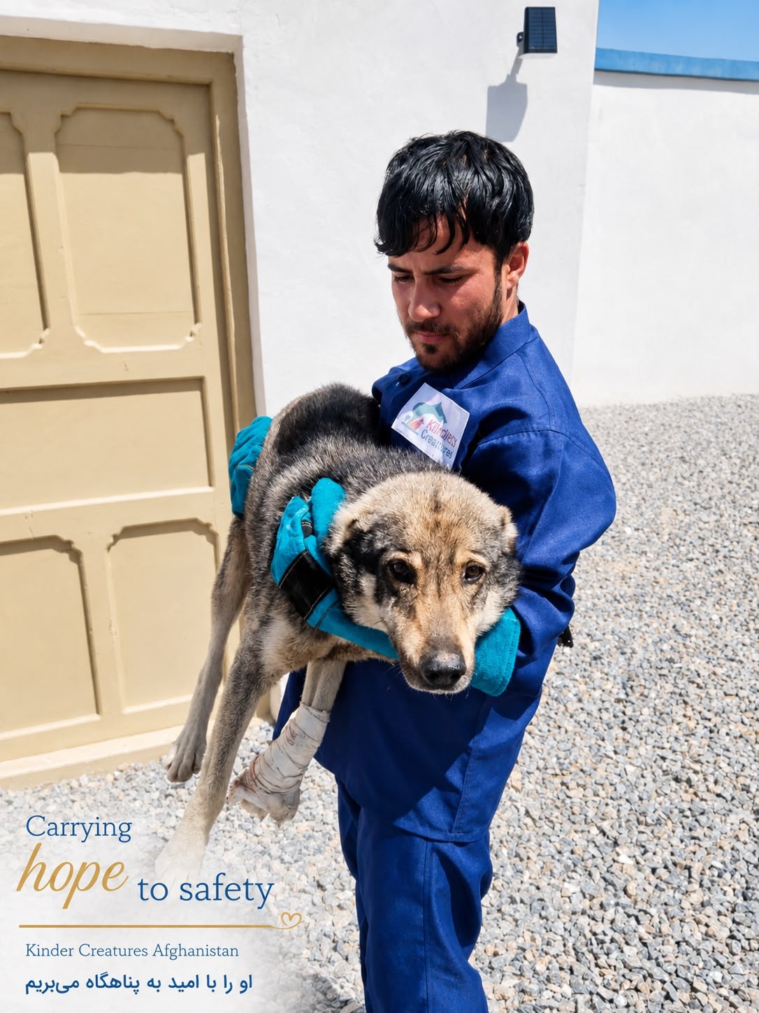 Kindred Creatures team member carrying a rescued dog to safety